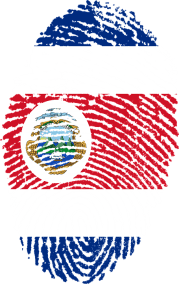 voto